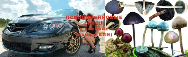 гашик Лихославль
