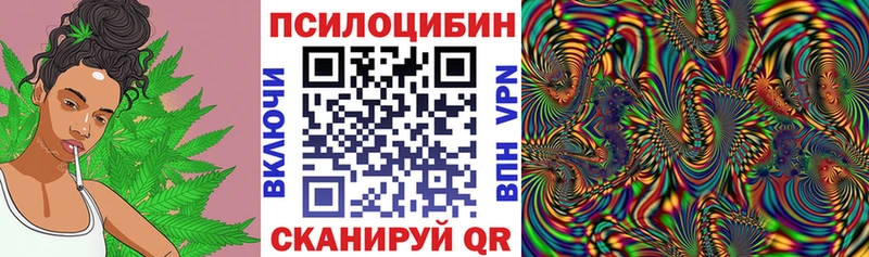 как найти   Тихвин  Псилоцибиновые грибы мицелий 