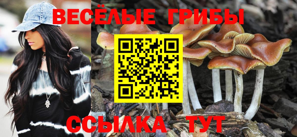 Тихвин  Псилоцибиновые грибы MAGIC MUSHROOMS  Вход с VPN 